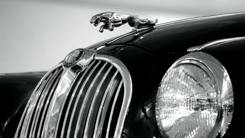 A Jaguar emblem on a black vehicle